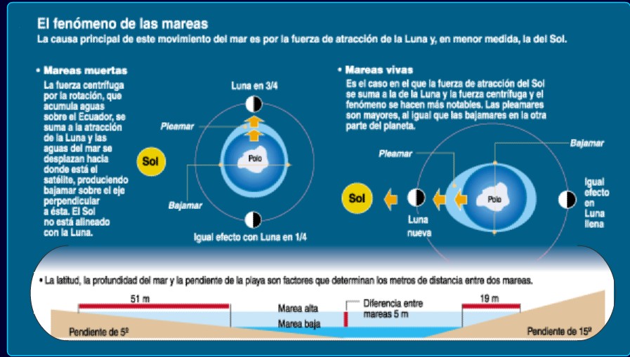 Los ungüentos no hormónicos de la psoriasis para los niños